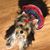 Connie Ross Wilson's profile image