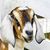M Moore Clark's profile image