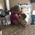 Pamela Vollenweider's profile image