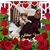 Joyce Janssen's profile image