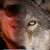 Robert Tincher's profile image