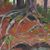 Anne Winslow Tarbox's profile image