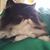 Karine Knopf's profile image
