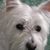 Jean Staib Frantz's profile image