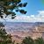 JoAnne Vickery Cash's profile image