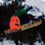 Glen Sterley's profile image