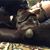 Germ Gedert's profile image