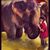 Sabrina Beckering Caldwell's profile image