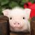 Darla Sheldon-Madtson's profile image
