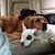 Bonnie Grossman Seltzer's profile image
