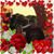 Lisa Bonney's profile image