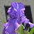 Patricia Bouchat Hudson Byther's profile image