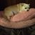 Donna Lynn's profile image