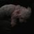 Leanne Tennyson's profile image