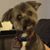 Colleen Ryan Schupp's profile image