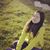 Kayla Yu's profile image