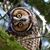 Cherie Jones's profile image