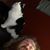 Kyle Harnden's profile image