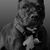 Jeannine Pearce's profile image
