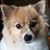 Lois Hatfield's profile image