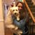 Savanna Doyle's profile image