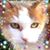 Connie Campbell's profile image