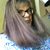 Nan Dobrowski's profile image