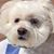 Jimmy Dolan's profile image