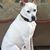 Laura Peters Stewart's profile image