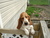 Sandy H.'s profile image