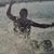 Jimmie Wooten's profile image