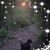 Barbara Mansfield Wilson's profile image