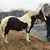 Rhonda Holland Jackson's profile image