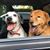 Kathy Johnson Rogers's profile image
