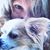 Susanna Garvin's profile image