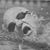Noel Peters's profile image