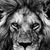Andre Jackson Sr.'s profile image