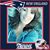 Kimberly Garvin Bevilacqua's profile image