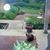 Judith Wallace's profile image