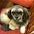 Jerry Hill's profile image