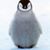 Ruth Basquez's profile image
