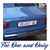 Dimce Gligorov's profile image