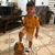 Les Aguirre's profile image