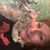 Tish Renninger's profile image