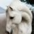 Gayle Gamble's profile image