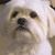 Pamela Zepf's profile image
