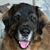 Nancy Klinkhammer Leong's profile image