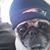 Dave Kelly's profile image