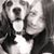 Stephanie Gallagher's profile image