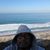 Jermaine L. Gaines's profile image